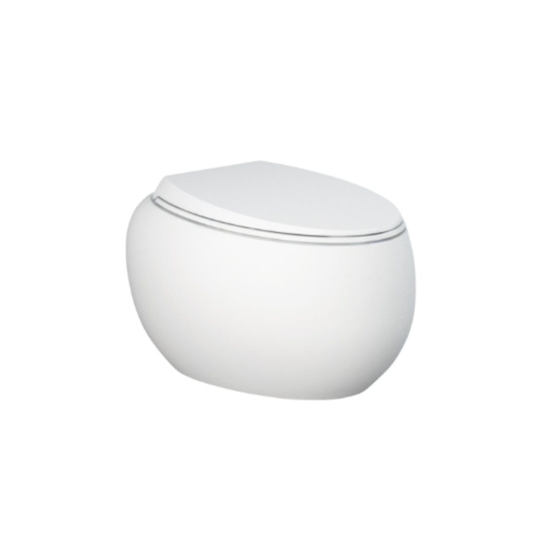 RAK Cloud WallHung Toilet Suite Art Bathrooms