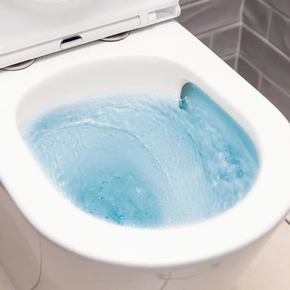Tornado-Cyclone-Flush Art Bathrooms