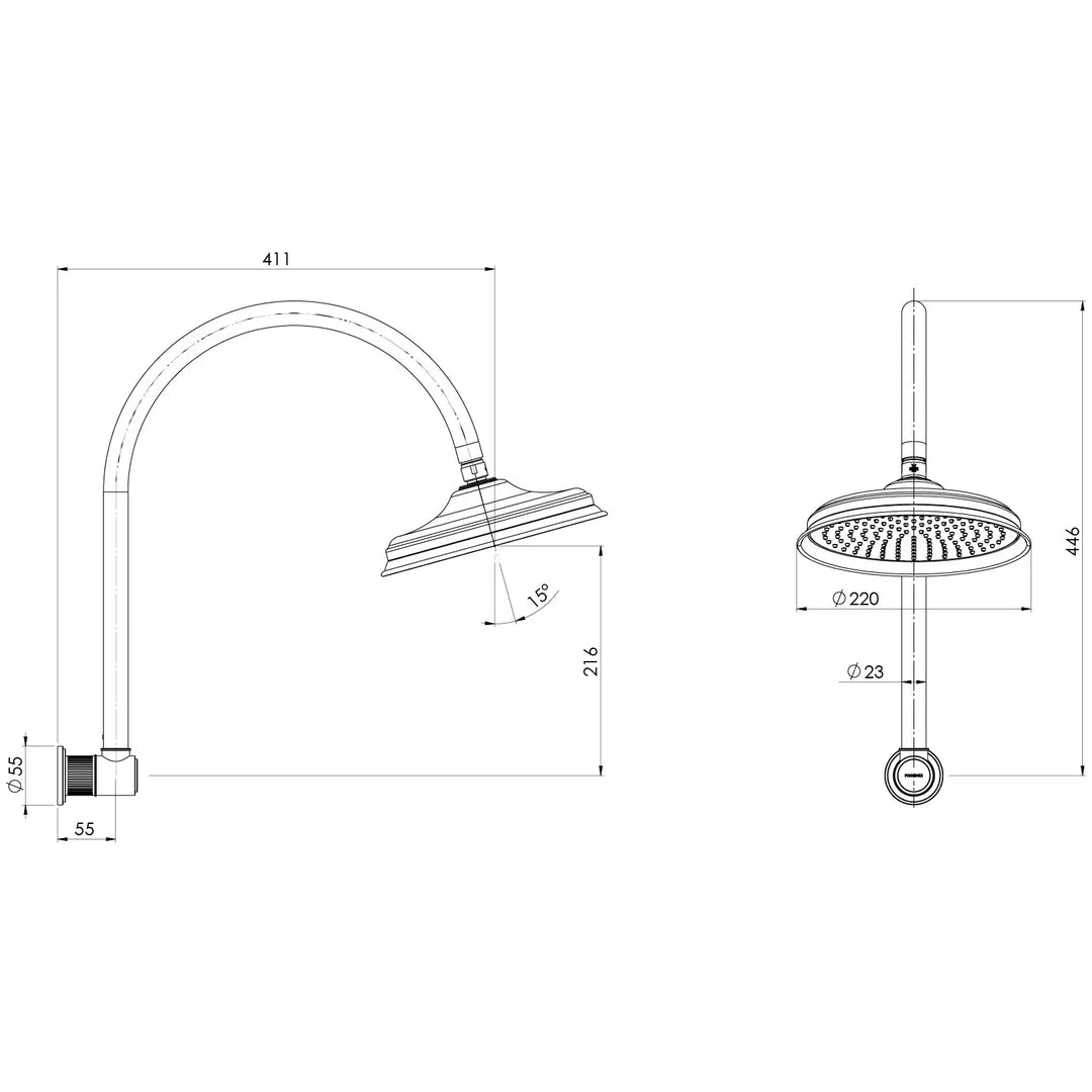 Wiltern High-Rise Shower Arm and Rose Phoenix