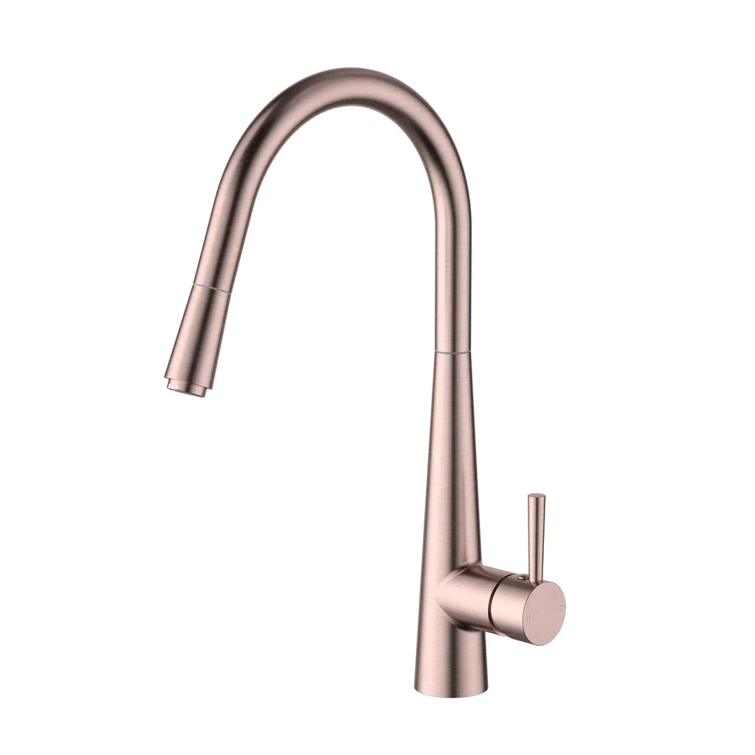 Kasper Pull-Out Kitchen Mixer Modern National