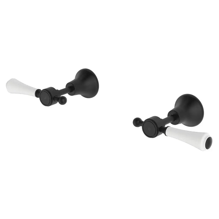Lillian Lever Wall Top Assemblies with Metal or Ceramic Handle Fienza