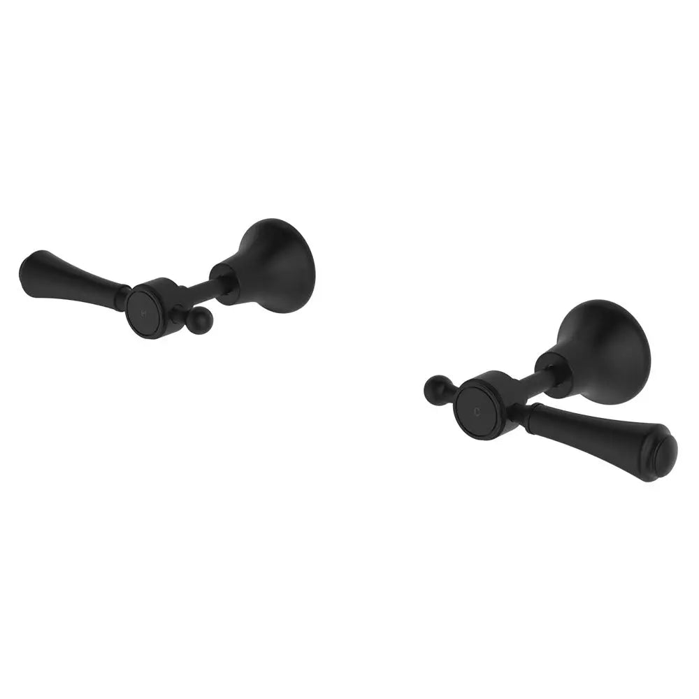 Lillian Lever Wall Top Assemblies with Metal or Ceramic Handle Fienza