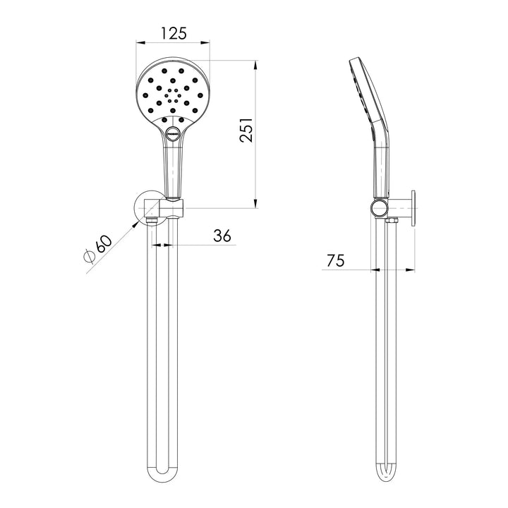 Oxley Hand Shower Phoenix