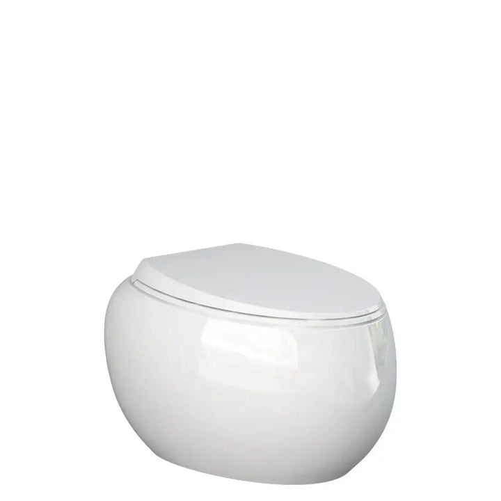 RAK Cloud Wall-Hung Toilet pan &amp; seat - various finishes Fienza