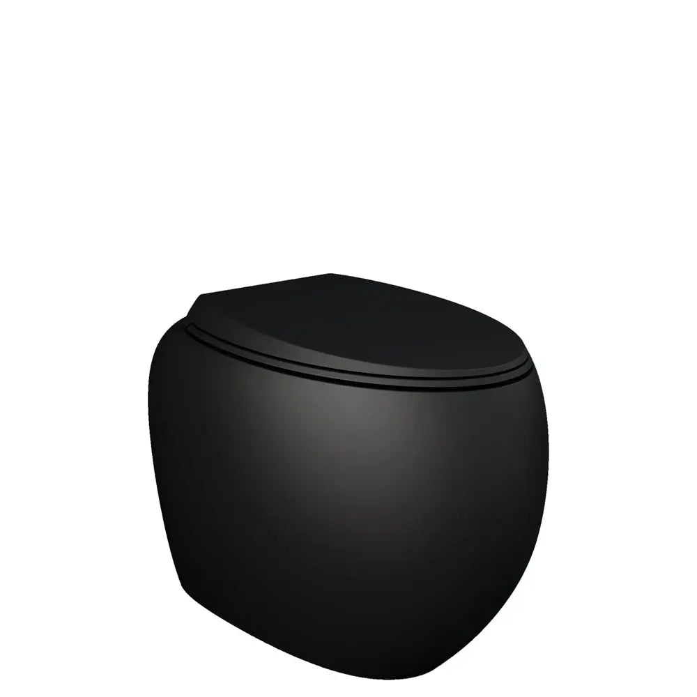 RAK Cloud Wall-Faced Toilet pan &amp; seat - various finishes Fienza