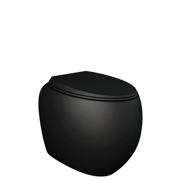 RAK Cloud Wall-Faced Toilet pan &amp; seat - various finishes Fienza