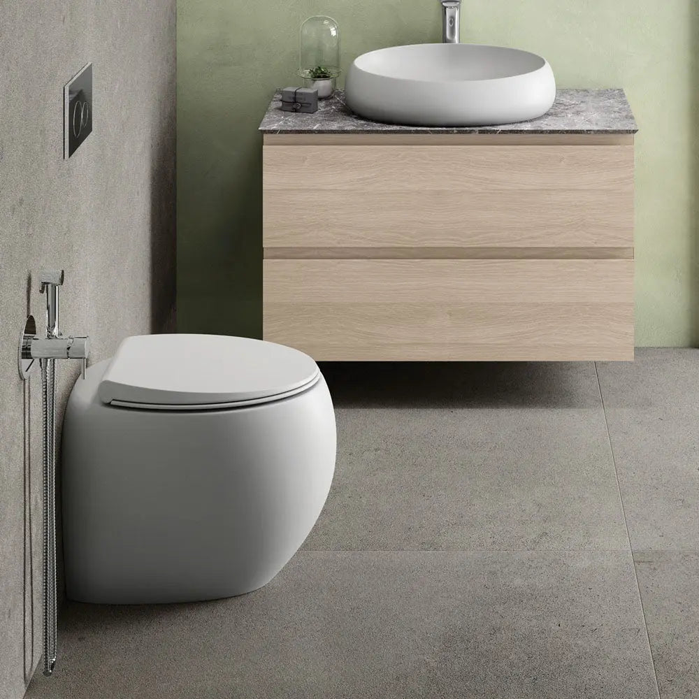 RAK Cloud Wall-Faced Toilet pan & seat - various finishes Fienza