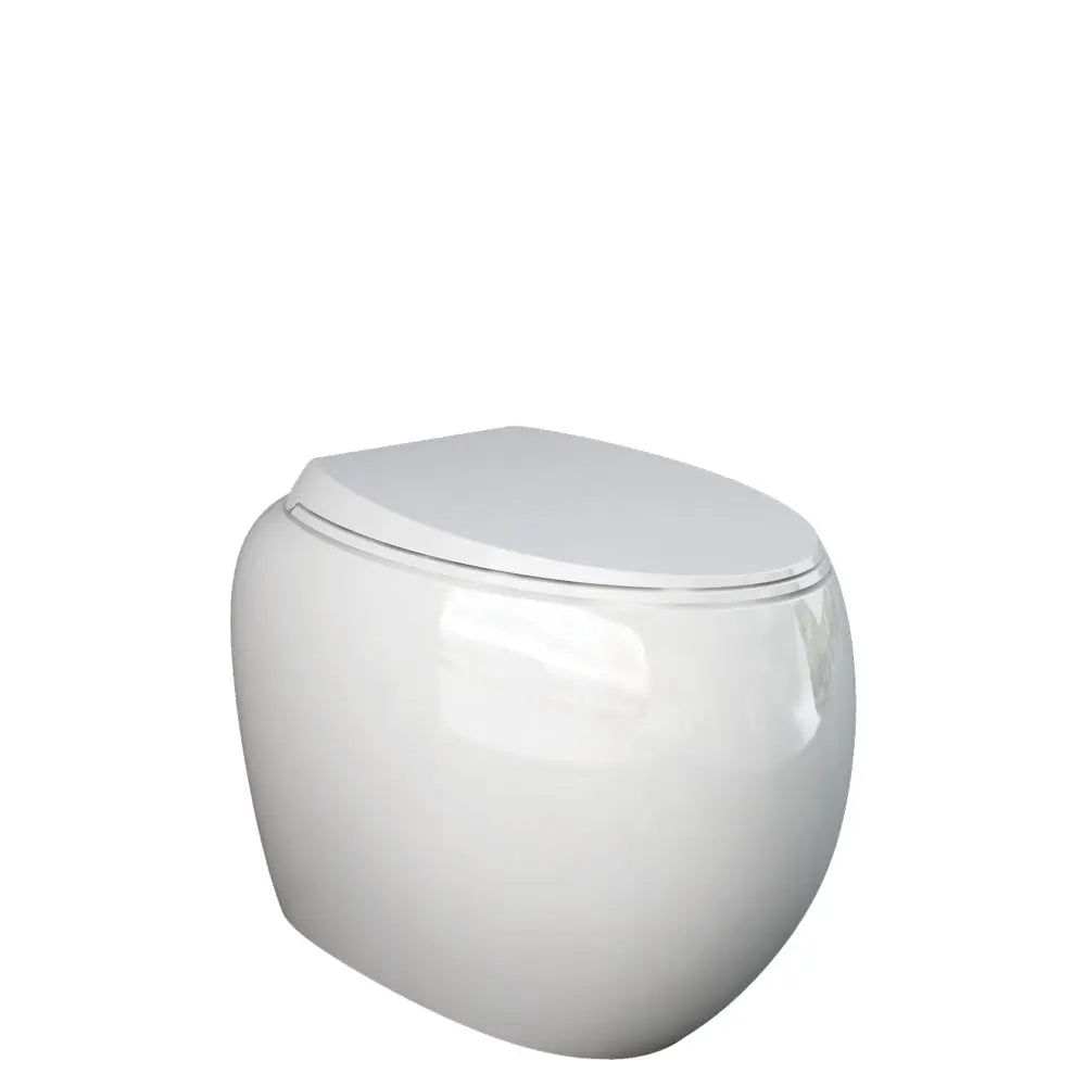 RAK Cloud Wall-Faced Toilet pan &amp; seat - various finishes Fienza