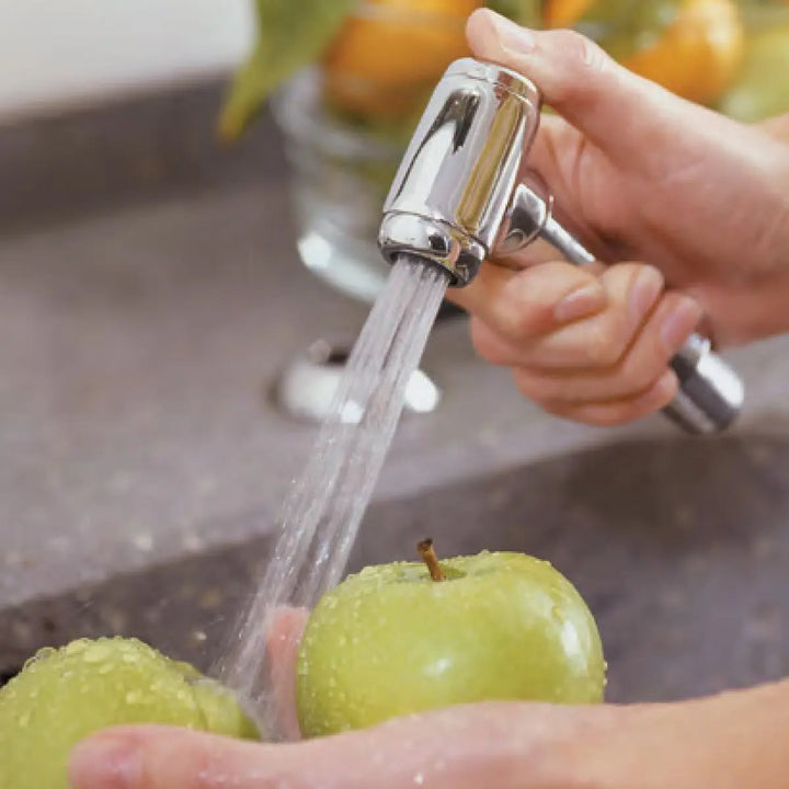 Roeburn Kitchen Mixer with Spray Rinse Perrin &amp; Rowe
