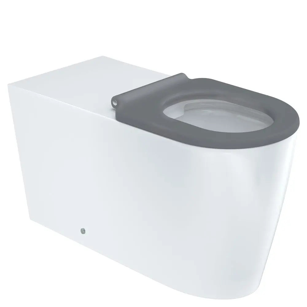 Isabella Care Wall-Faced Toilet Suite pan &amp; seat Fienza