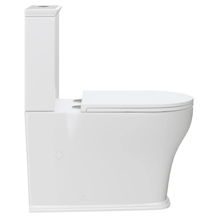 LILLIAN Tornado Flush Back To Wall Toilet Suite Fienza