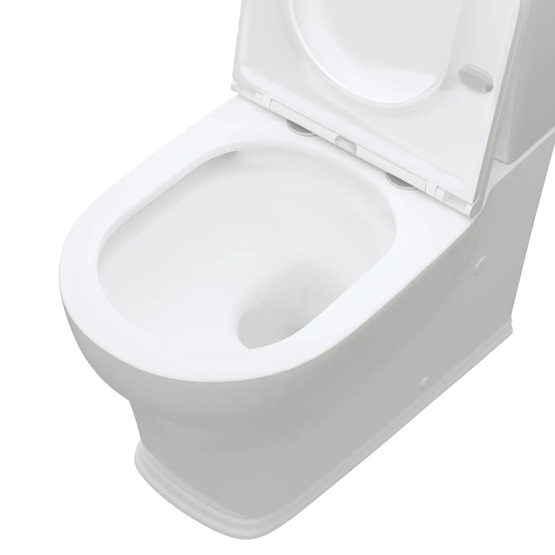 LILLIAN Tornado Flush Back To Wall Toilet Suite Fienza