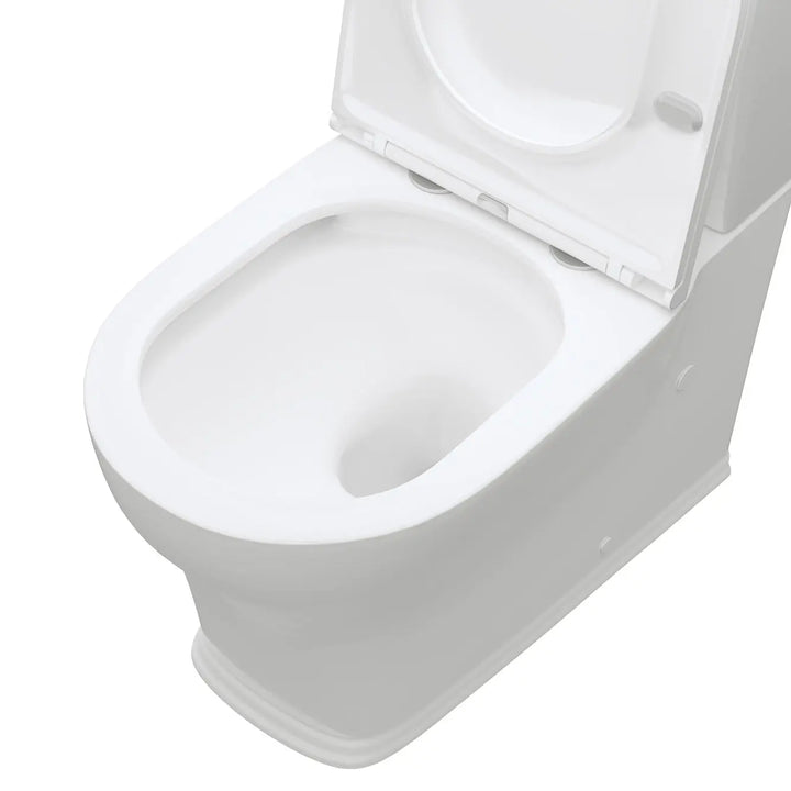 LILLIAN Tornado Flush Back To Wall Toilet Suite Fienza