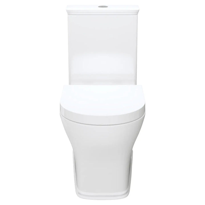 LILLIAN Tornado Flush Back To Wall Toilet Suite Fienza