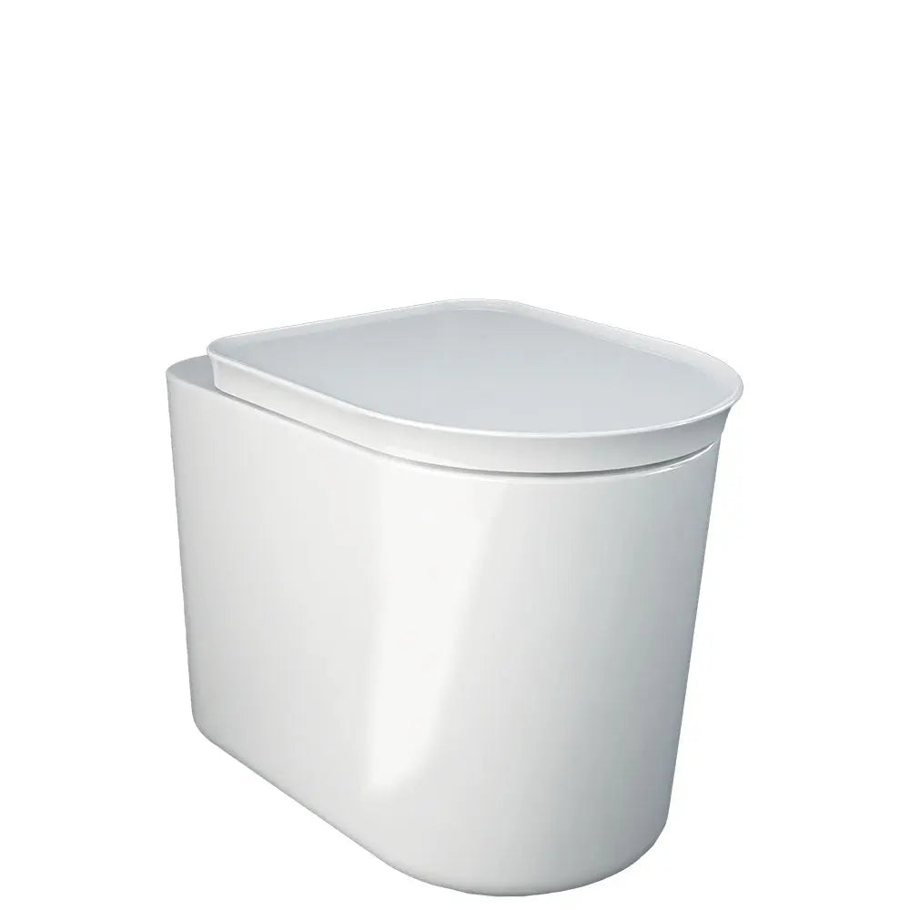 RAK Valet Wall-Faced Toilet, Alpine Gloss White Fienza