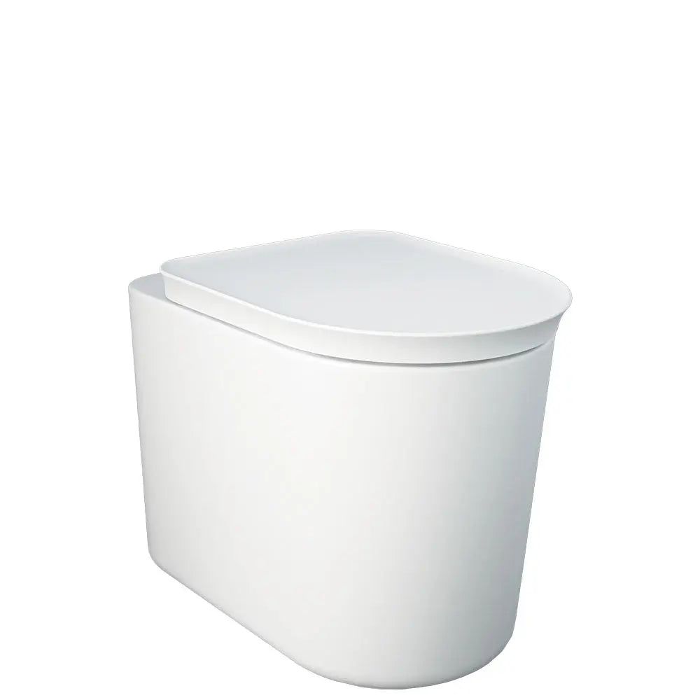 RAK Valet Wall-Faced Toilet, Matte White Fienza