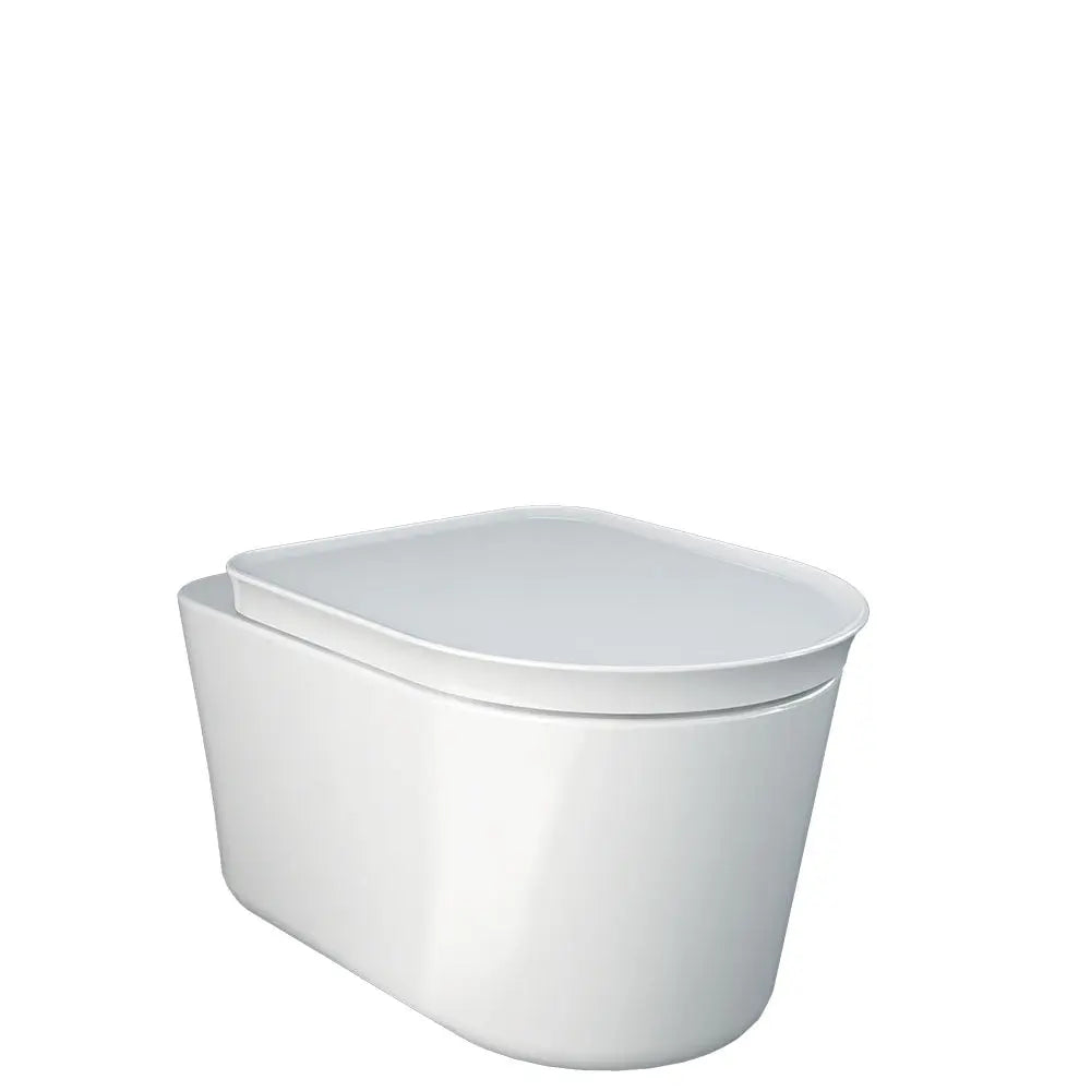 RAK Valet Wall-Hung Toilet, Alpine Gloss White Fienza