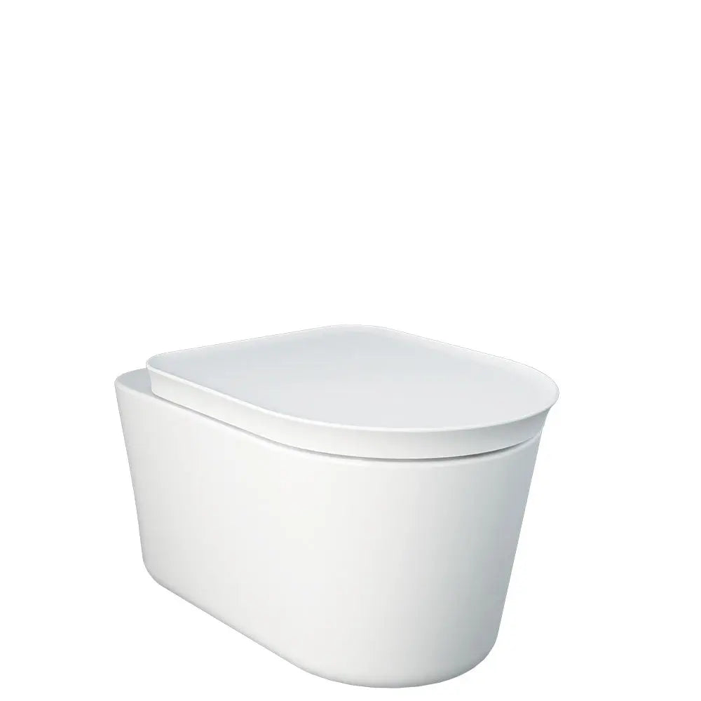 RAK Valet Wall-Hung Toilet, Matte White Fienza