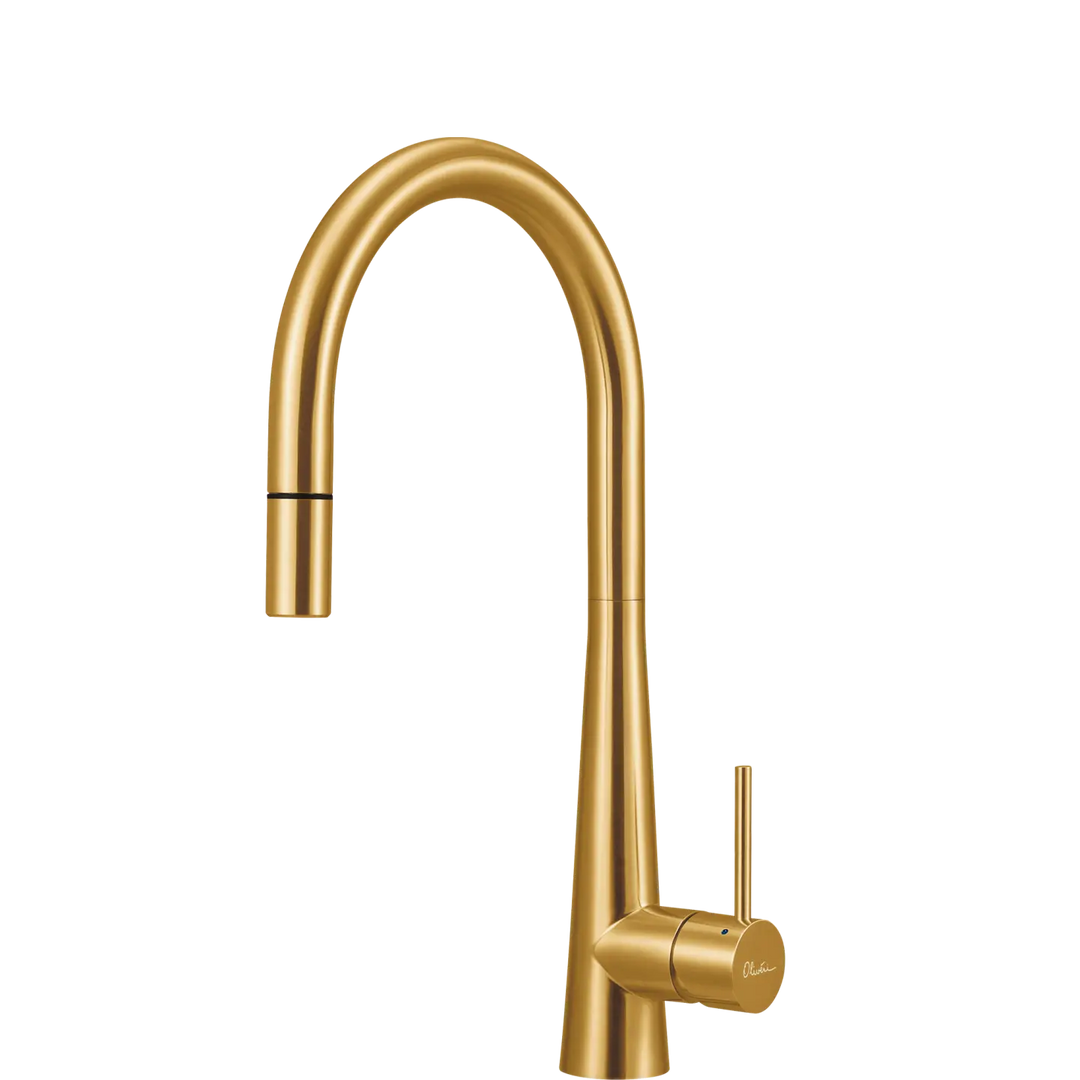 Essente 316 Stainless Steel Goose Neck Pull Out Mixer Oliveri