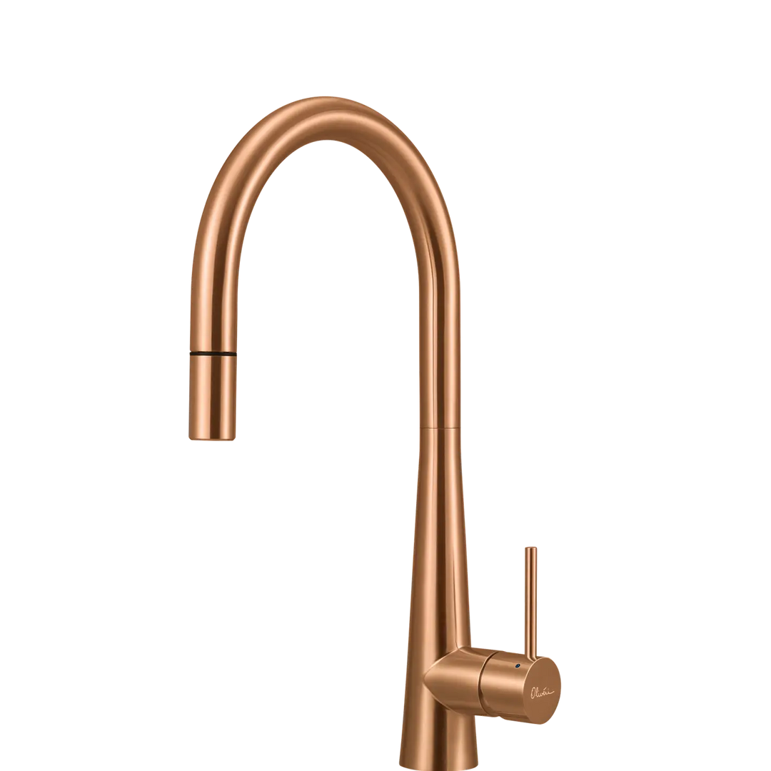 Essente 316 Stainless Steel Goose Neck Pull Out Mixer Oliveri