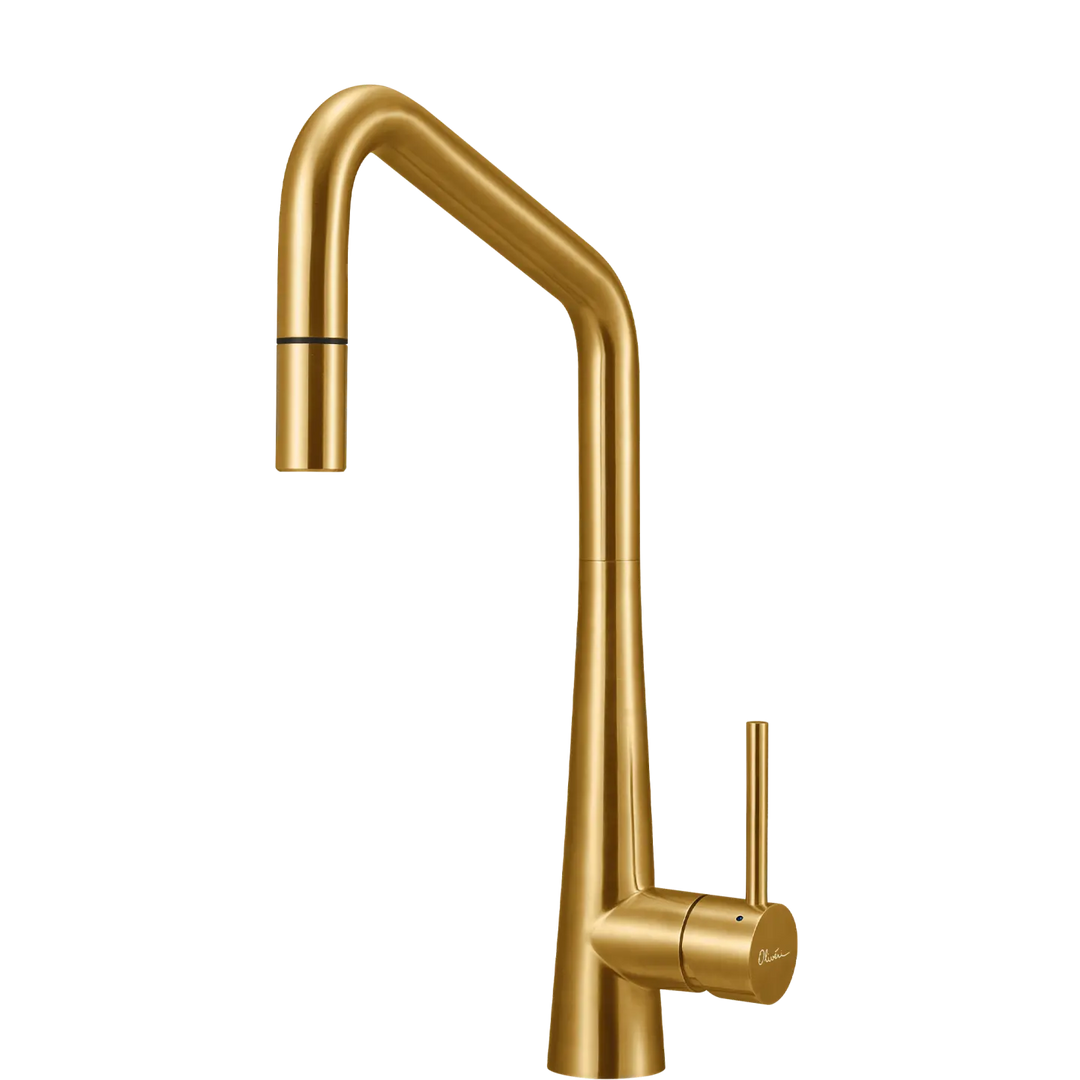 Essente 316 Stainless Steel Square Goose Neck Pull Out Mixer Oliveri