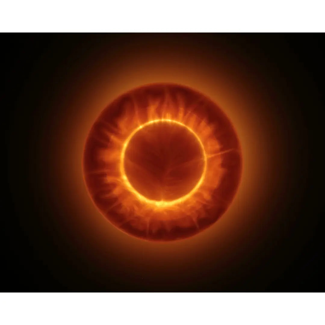 Oxyform™ Round Flush Wall Light The Basin Lab