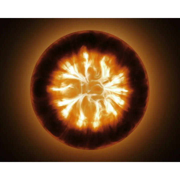 Oxyform™ Round Cove Wall Light The Basin Lab
