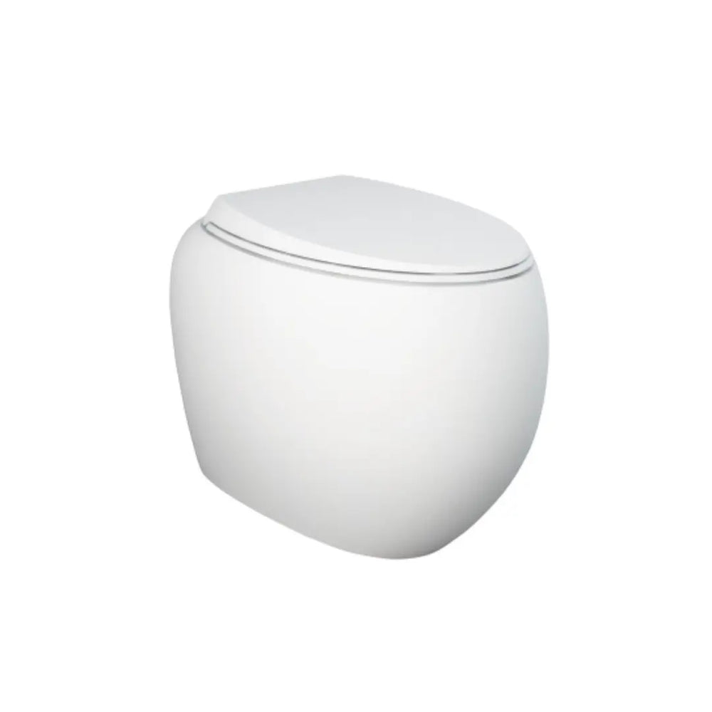 RAK Cloud Wall-Faced Toilet pan & seat - various finishes Fienza