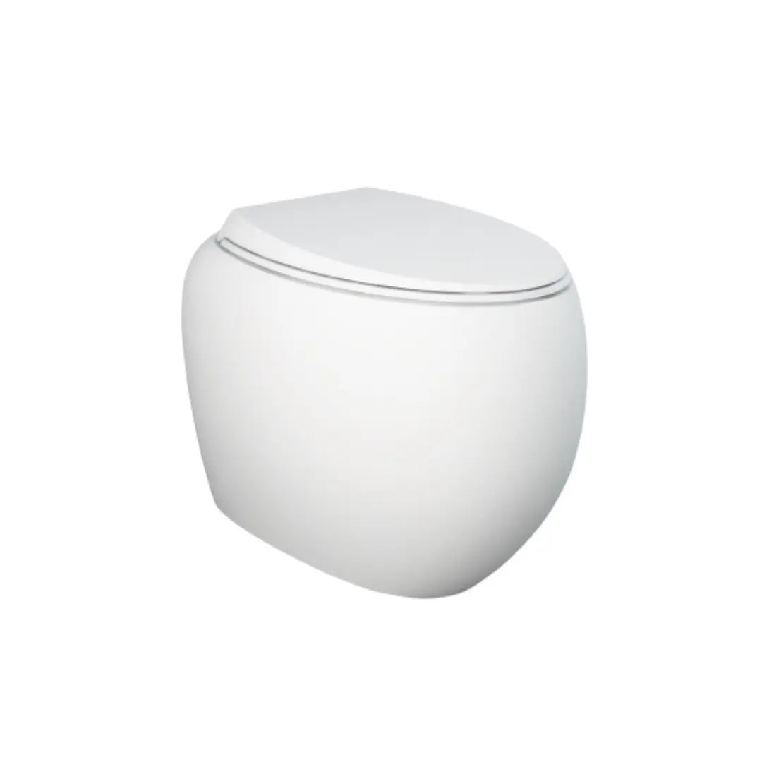 RAK Cloud Wall-Faced Toilet pan &amp; seat - various finishes Fienza
