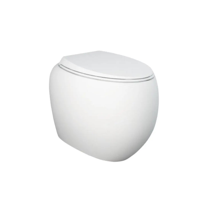 RAK Cloud Wall-Faced Toilet pan &amp; seat - various finishes Fienza