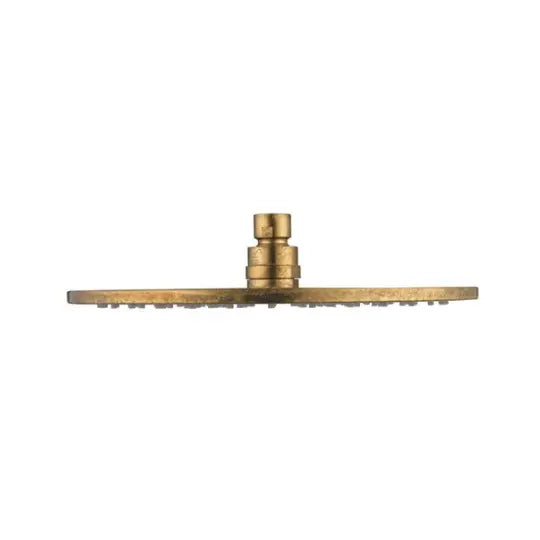 Mica Living Brass Shower Head 250mm - Accelerated (On display) Bella Vista