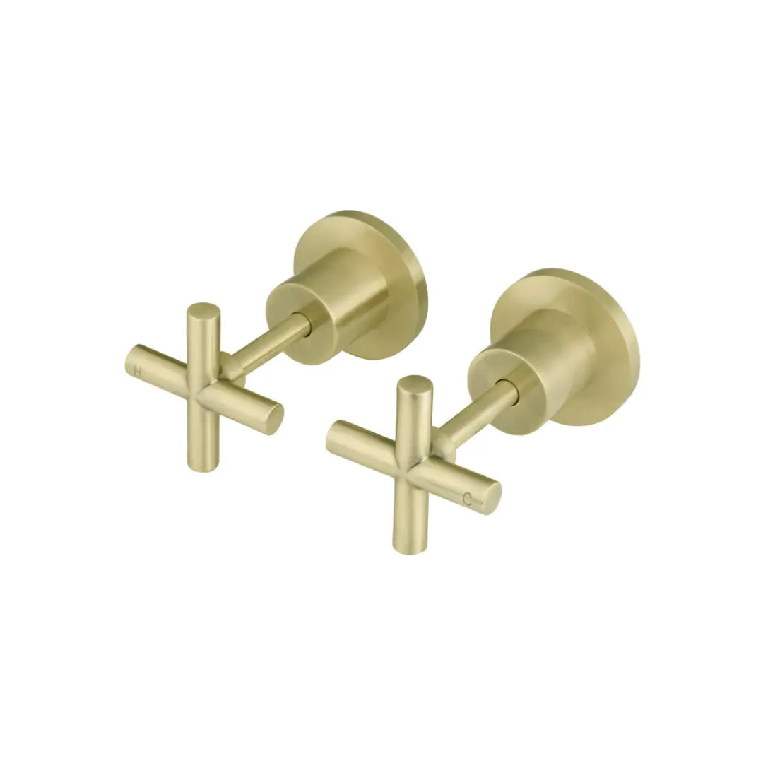 ROUND JUMPER VALVE WALL TOP ASSEMBLIES Meir
