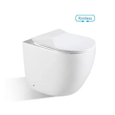 Ascoli Rimless Flushing Toilet-FST pan &amp; seat BNK