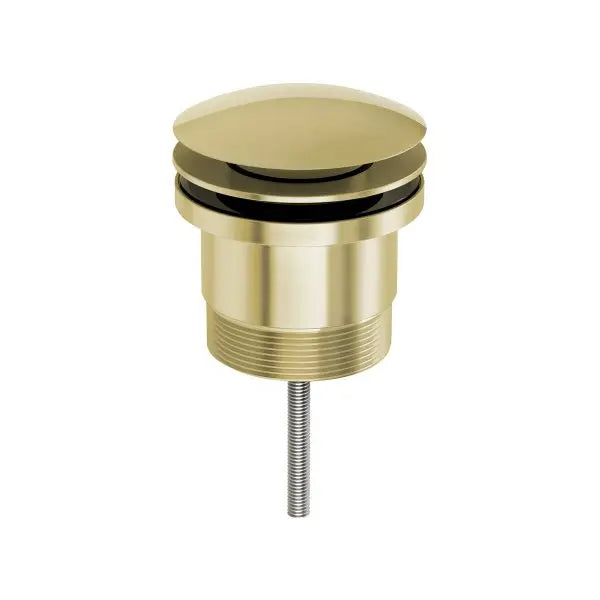 Phoenix 40mm Dome Pop Up Universal Waste Phoenix