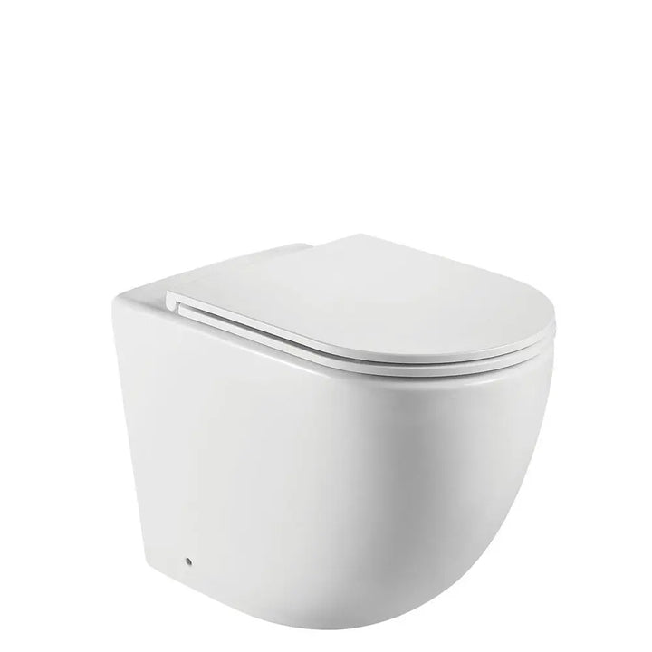 KOKO Matte White Wall-Faced pan &amp; seat Fienza