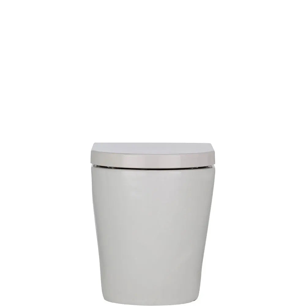 KOKO Gloss White Tornado Wall-Faced pan &amp; seat Fienza