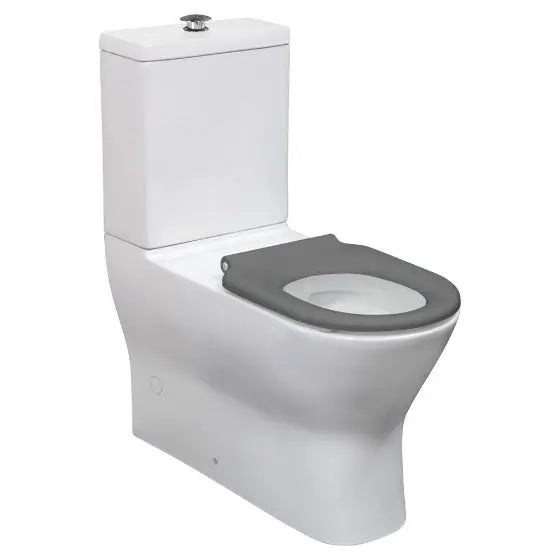 DELTA CARE Back-to-Wall Suite, Grey Seat Fienza