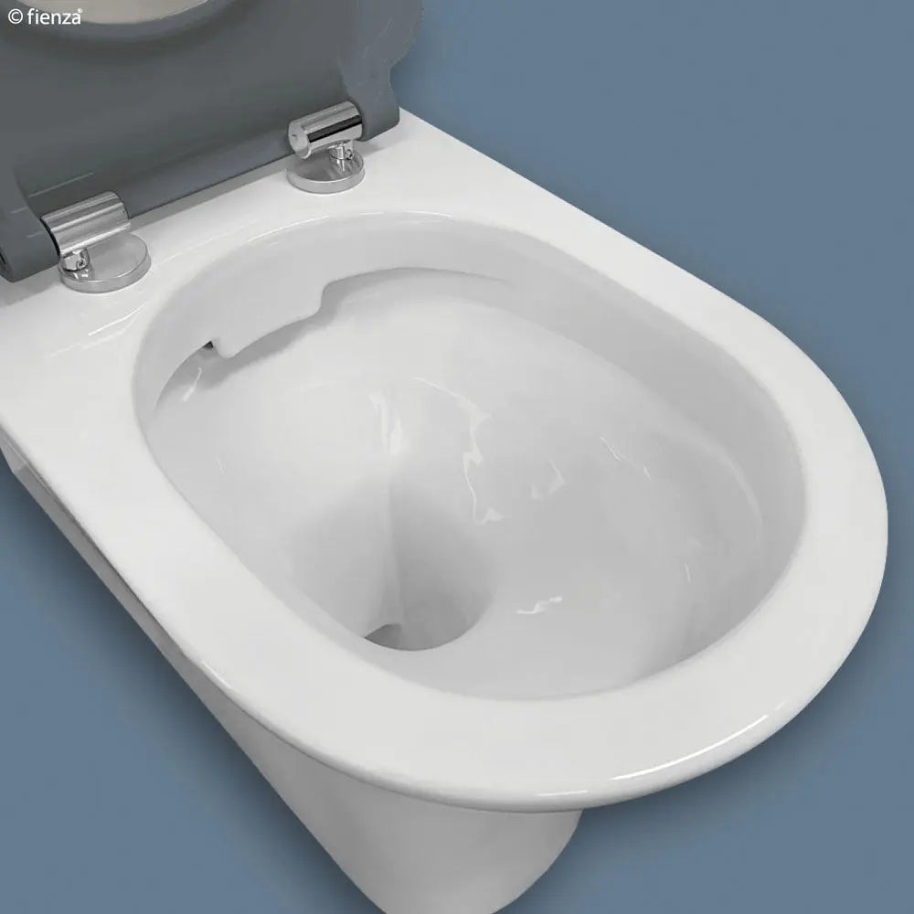 DELTA CARE Back-to-Wall Suite, Grey Seat Fienza