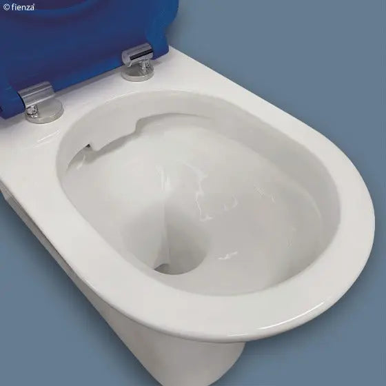 DELTA CARE Back-to-Wall Suite, Blue Seat Fienza