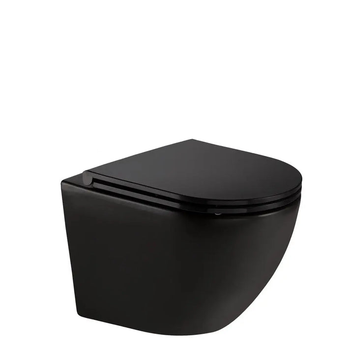 KOKO Matte Black Wall-Faced pan &amp; seat Fienza