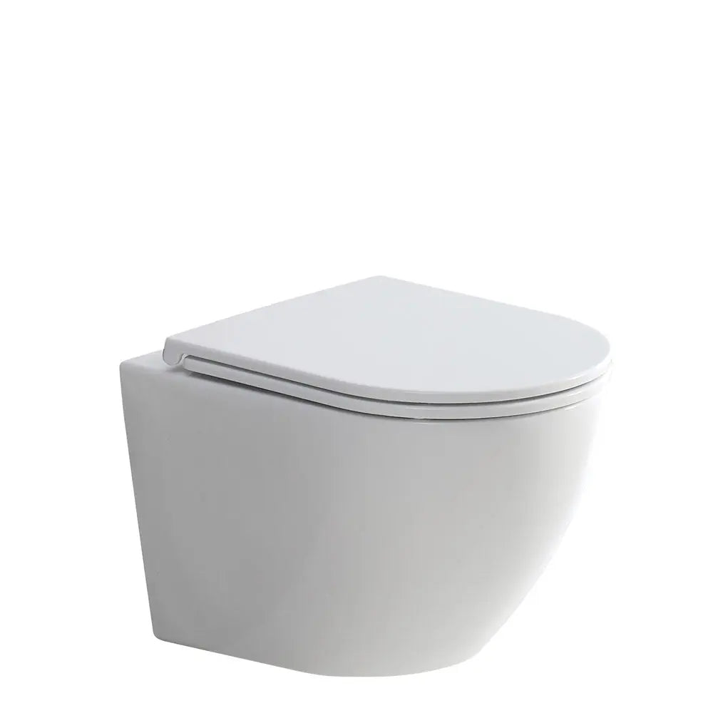 KOKO Matte White Wall-Hung pan & seat Fienza