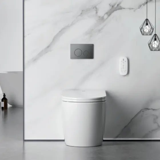 Crawford Rimless Floor Standing Smart Toilet Alex Group Aus