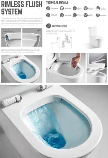 Ascoli Rimless Flushing Toilet-FST pan &amp; seat BNK