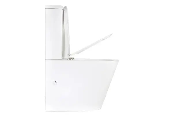 RENEE RIMLESS BACK-TO-WALL TOILET SUITE Decina