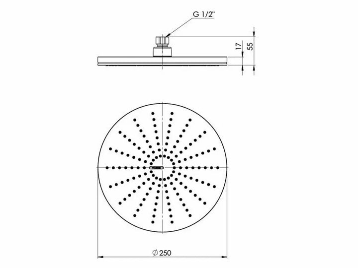 NX Vive Shower Rose Phoenix